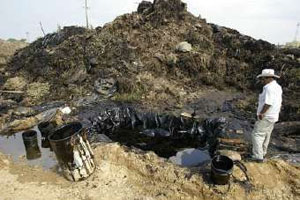 Man Looking at Dead Cattle in a River After Oil Spill in Veracruz Pic 2