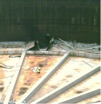 Picture (Device Independent Bitmap)