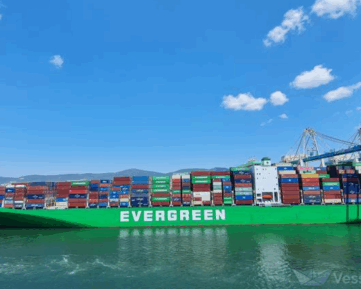 evergreen2 evergreen2